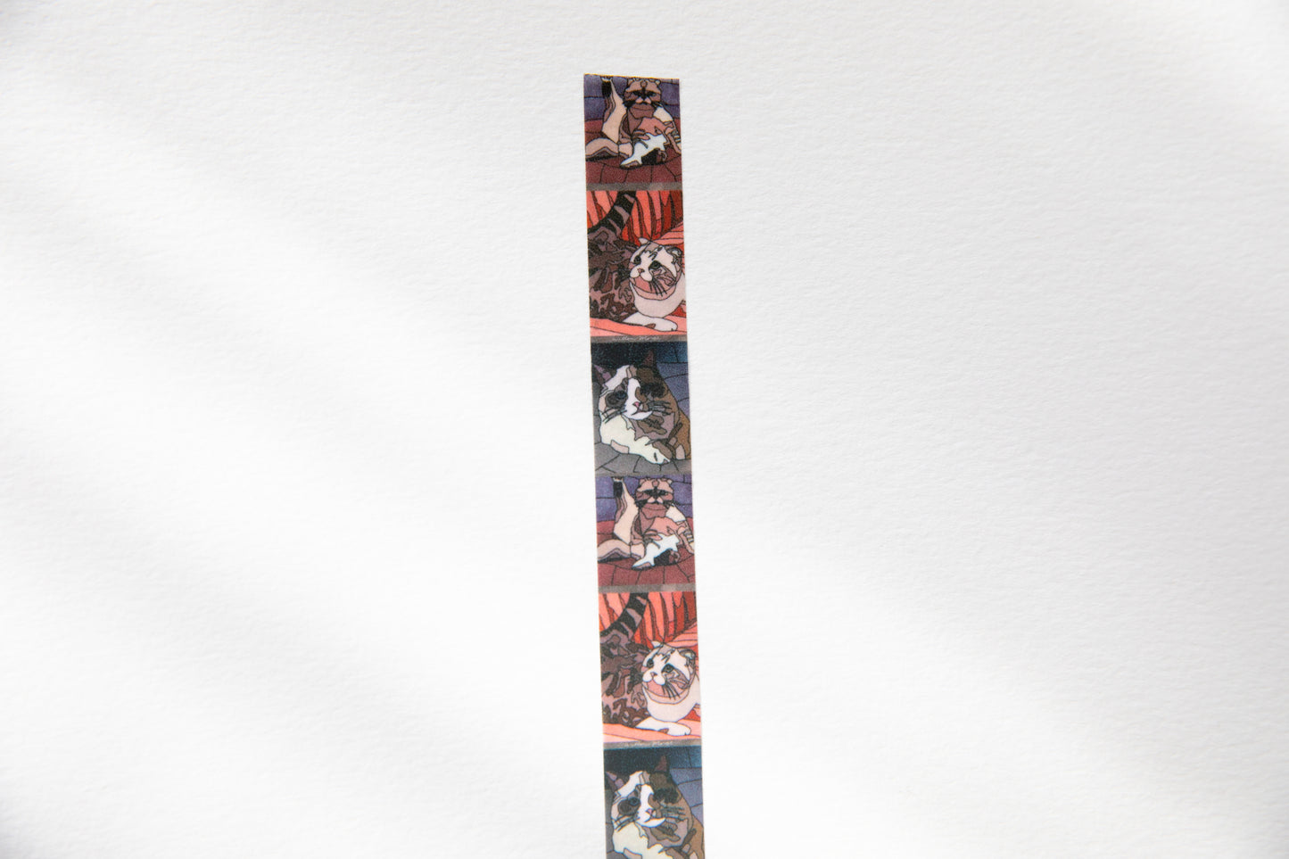 Kitty Committee Washi Tape
